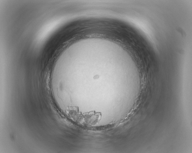 X0000114100146200911161105