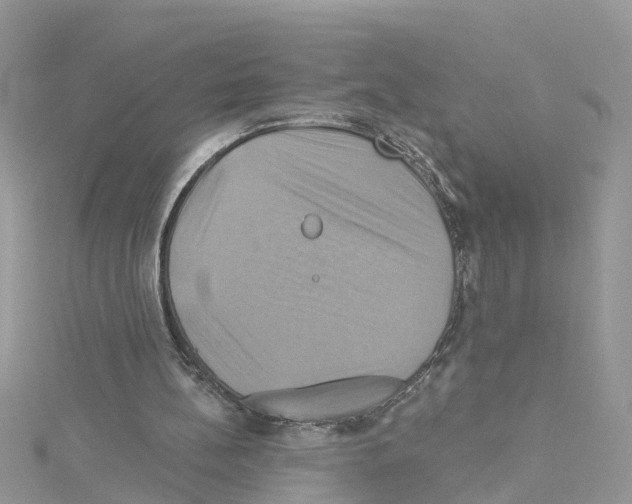 X0000114100148200911161105