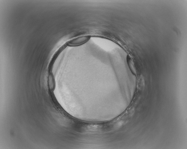 X0000114100152200911161105