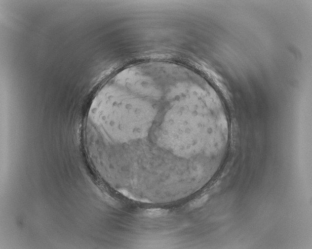 X0000114100153200911161105