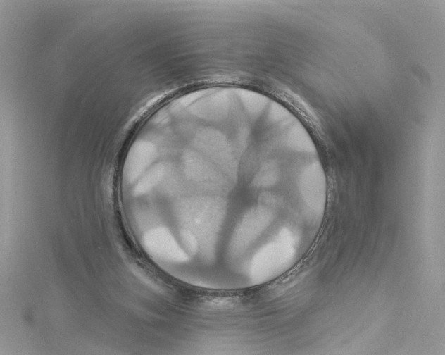 X0000114100155200911161105