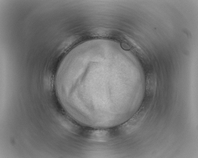 X0000114100168200911161105