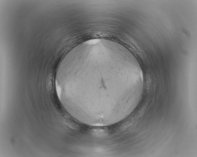 X0000114100169200911161105