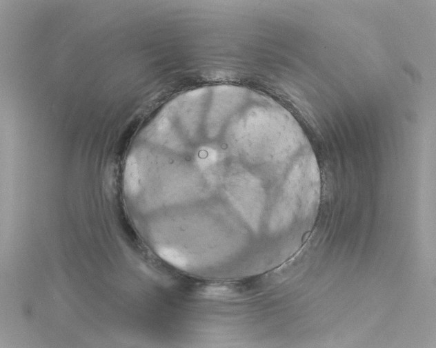 X0000114100171200911161105