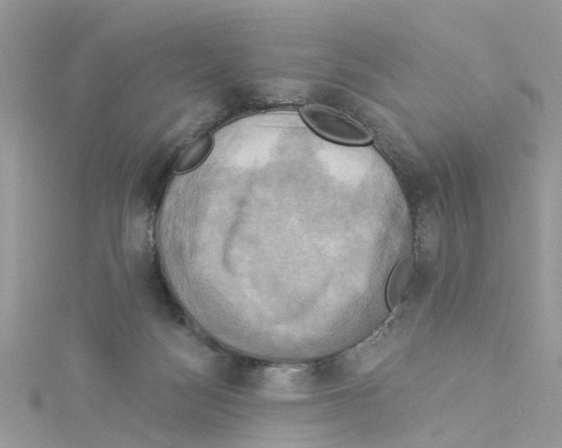 X0000114100172200911161105