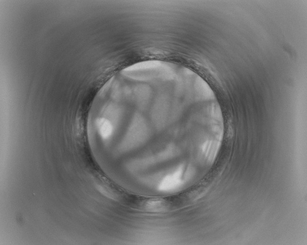 X0000114100173200911161105