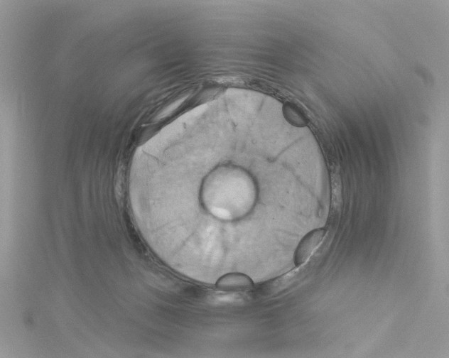 X0000114100175200911161105