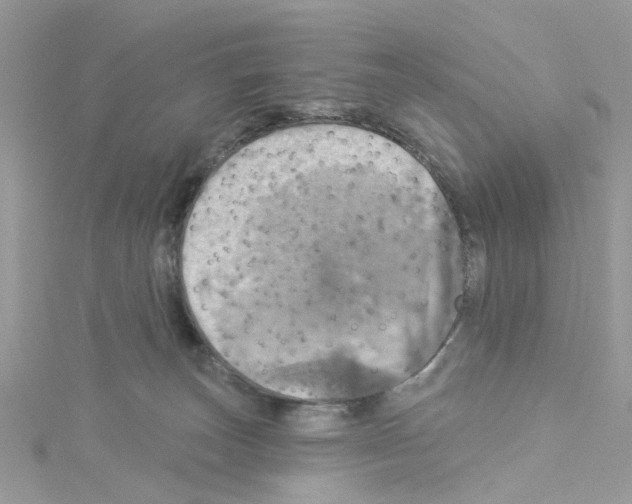 X0000114100179200911161106