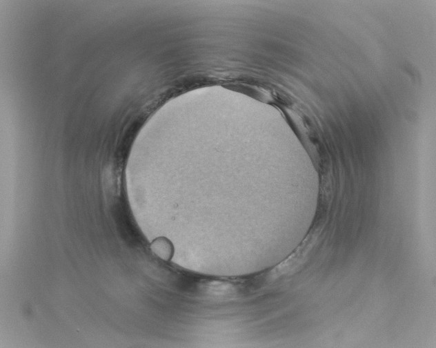 X0000114100180200911161106