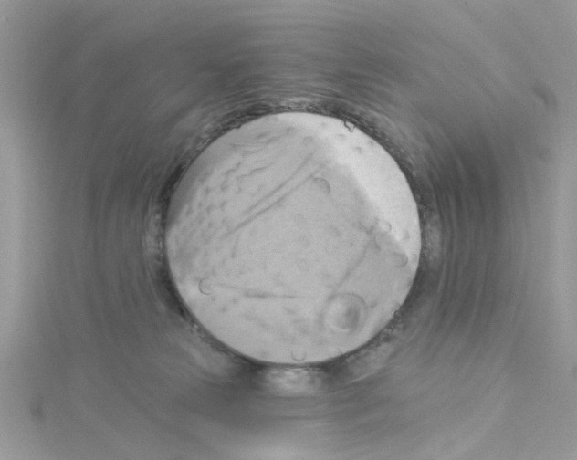 X0000114100181200911161106