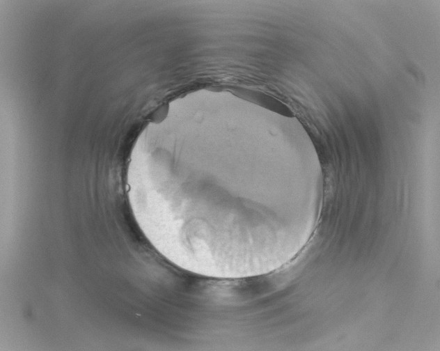 X0000114100182200911161106