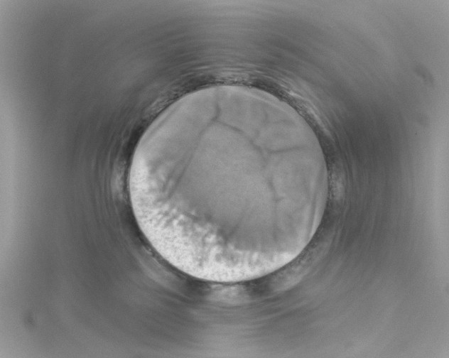 X0000114100185200911161106