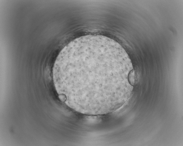 X0000114100187200911161106