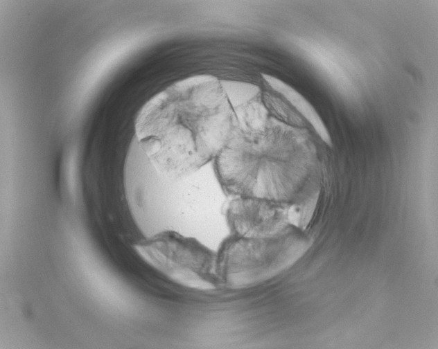 X0000114100189200911161106