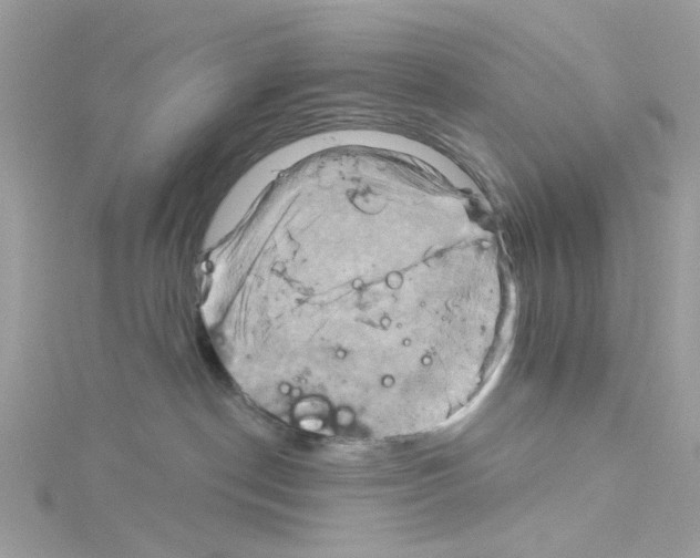 X0000114100190200911161106