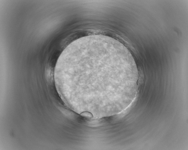 X0000114100191200911161106