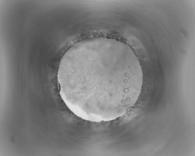 X0000114100192200911161106