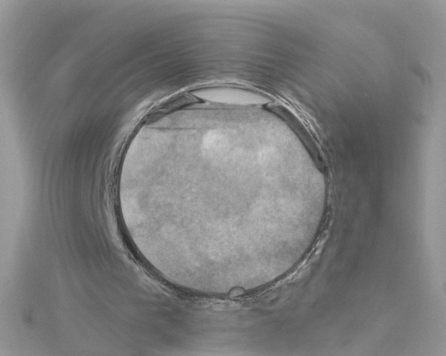 X0000114100193200911161105