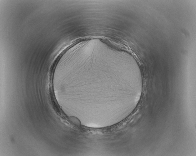 X0000114100194200911161105