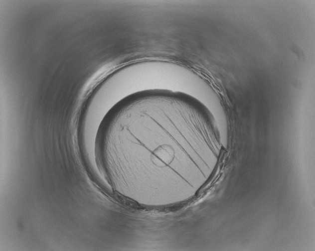 X0000114100197200911161105