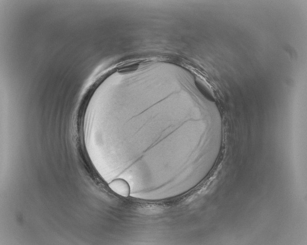 X0000114100198200911161105