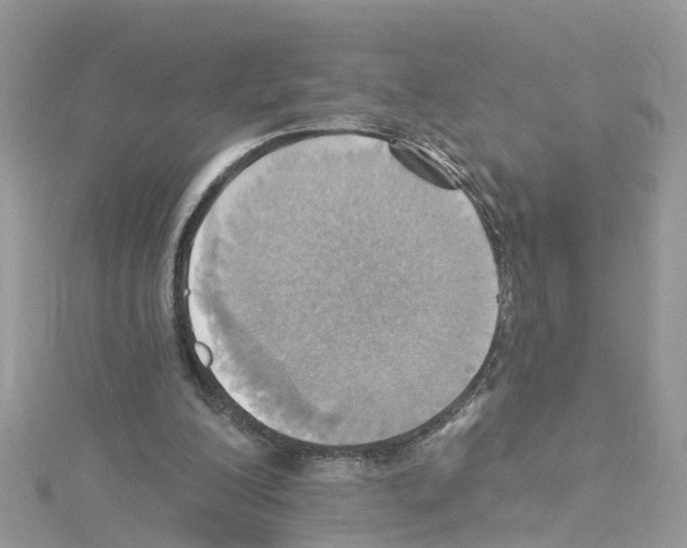 X0000114100200200911161105