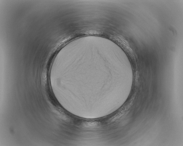 X0000114100202200911161105