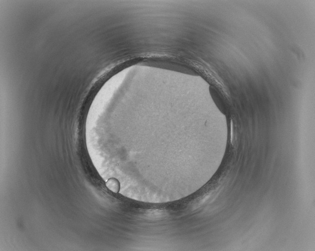 X0000114100204200911161105