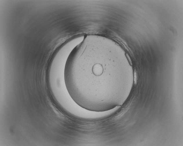 X0000114100205200911161105