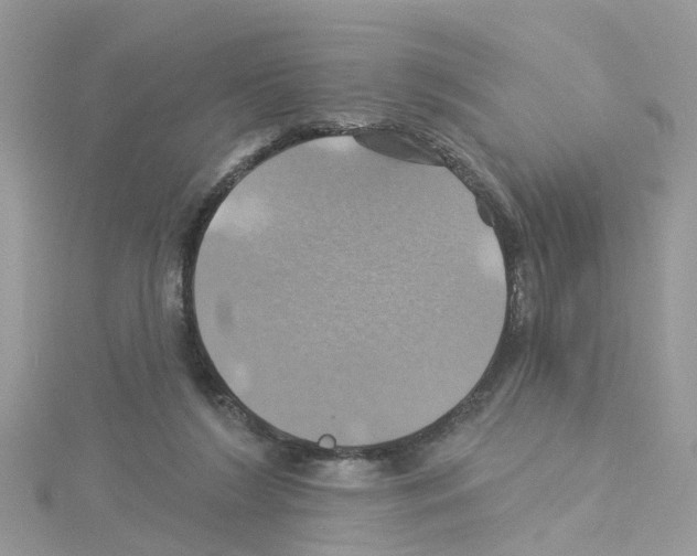 X0000114100212200911161105