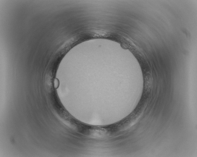 X0000114100215200911161105