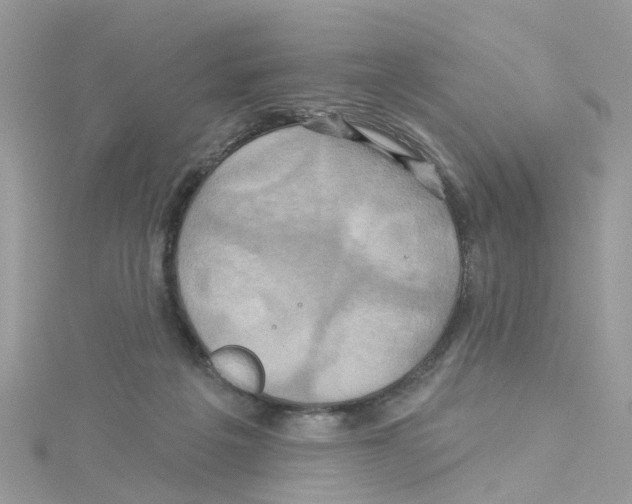 X0000114100217200911161105