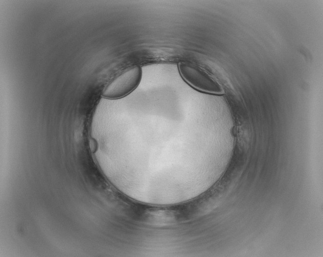 X0000114100221200911161105