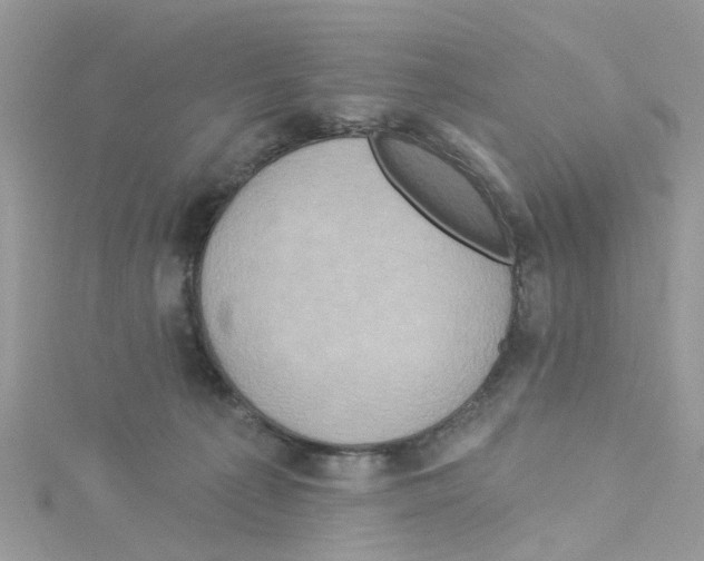 X0000114100225200911161105