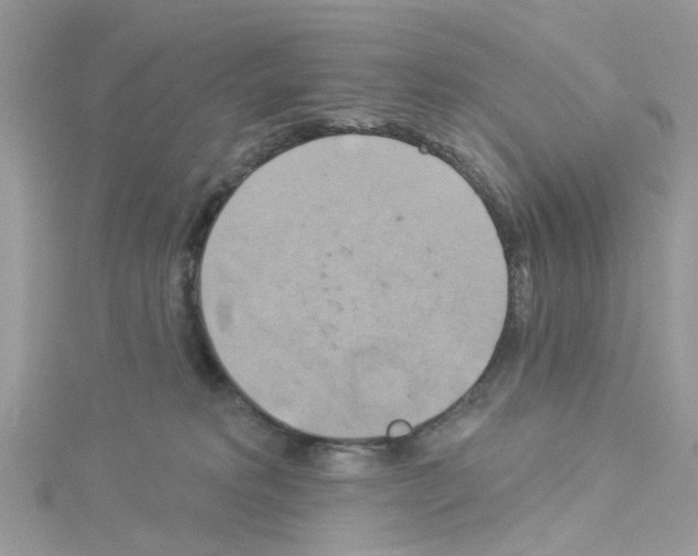 X0000114100229200911161104