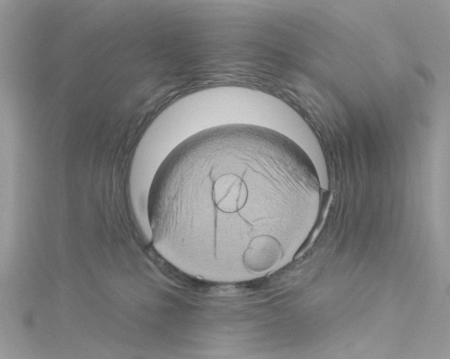 X0000114100231200911161104