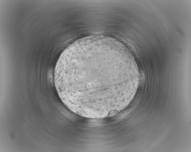 X0000114100238200911161104