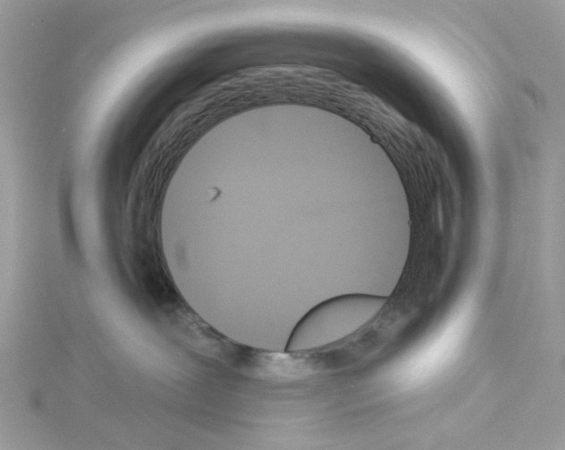 X0000114100239200911161104