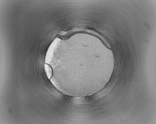 X0000114100240200911161104