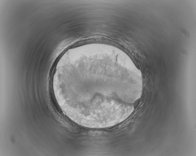 X0000114100242200911161104