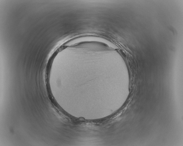 X0000114100244200911161104