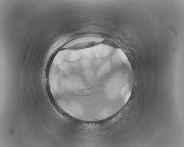 X0000114100245200911161104