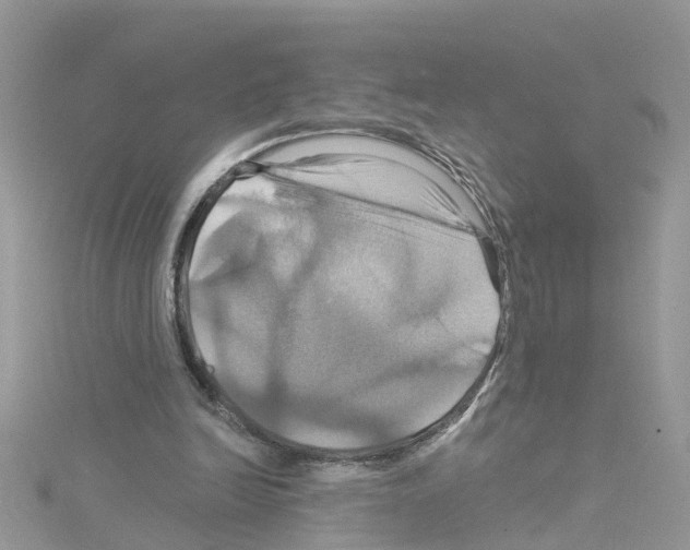 X0000114100246200911161104