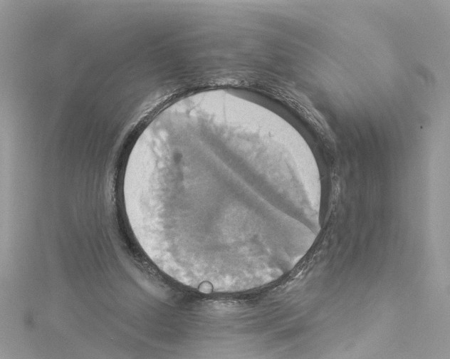 X0000114100250200911161104