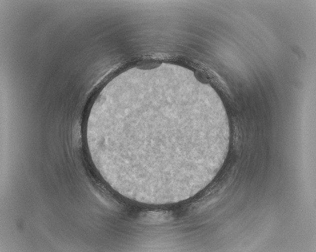 X0000114100251200911161104