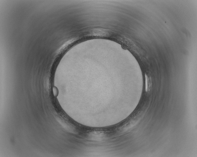 X0000114100252200911161104