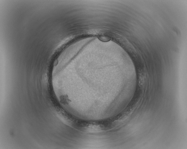 X0000114100256200911161104