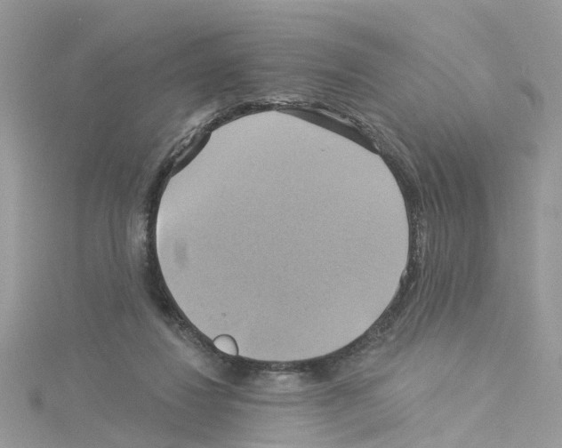 X0000114100260200911161104