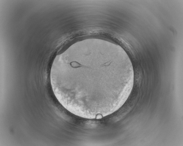 X0000114100261200911161104