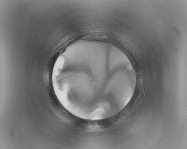 X0000114100262200911161104